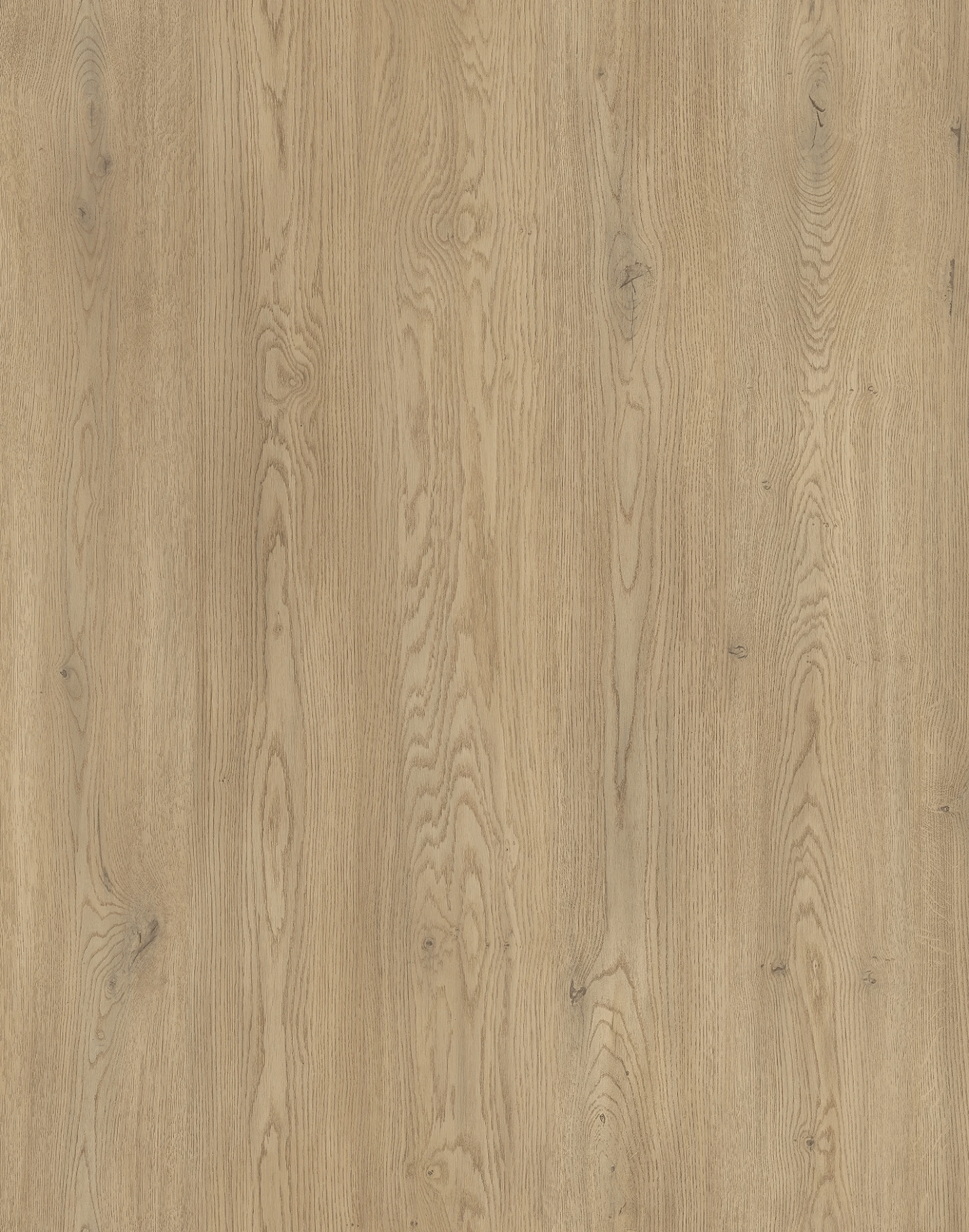 TV Schrank 140 cm Aura - Eiche Cremona