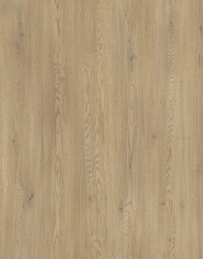 Bad Hochschrank 120 cm, glatte Fronten, 2 Türen Beti - Eiche Cremona